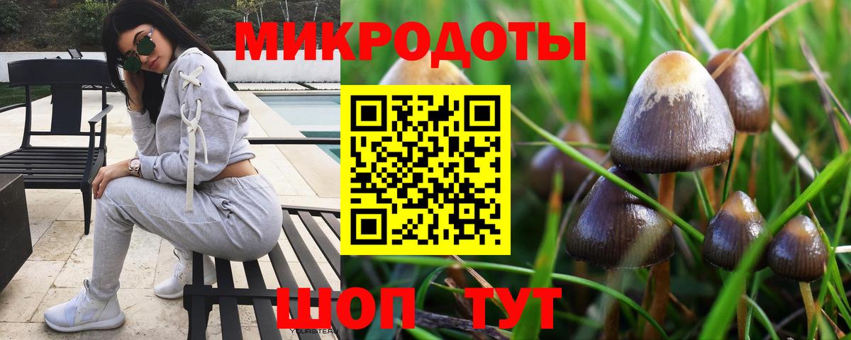 Псилоцибиновые грибы Psilocybine cubensis Ковров