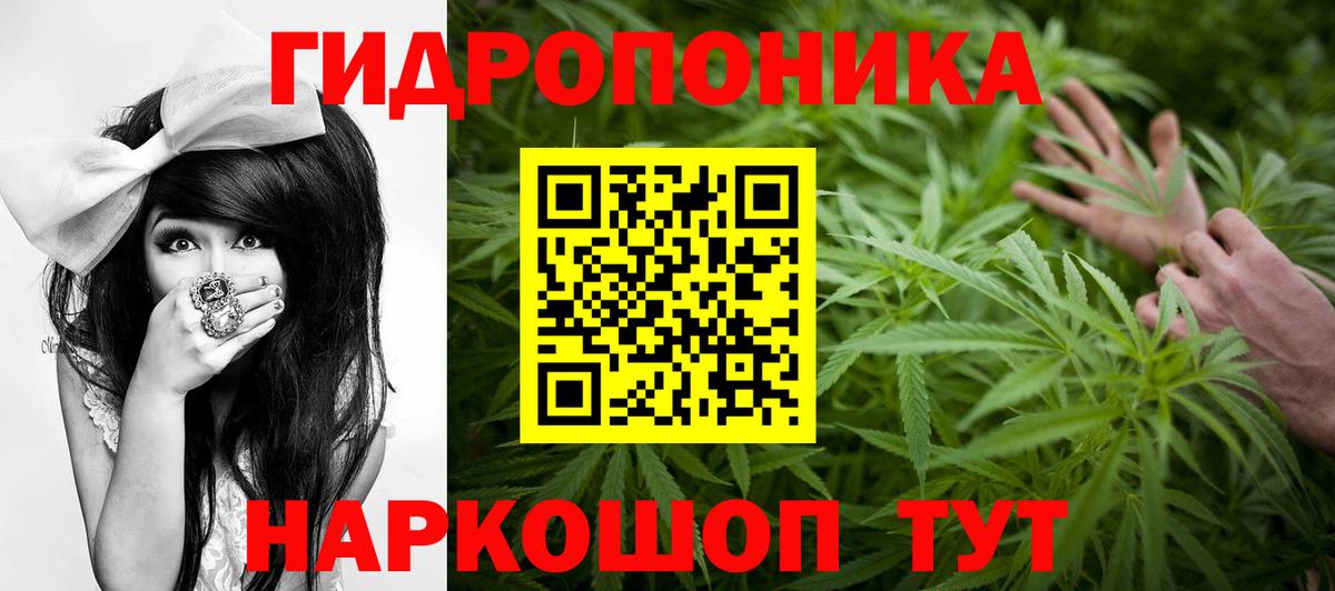 Ковров  Конопля AK-47  МАРИХУАНА ГИДРОПОН  Бошки Шишки ГИДРОПОН  Конопля семена  Вход с VPN 